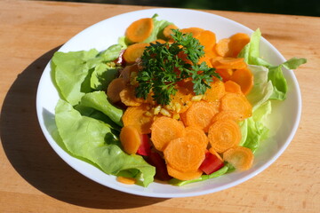 Fresh lettuce with slices of carrot, parsley and garlic as starter