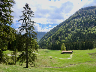 Track passing mountain cottage with by green meadow, Bavaria, Germany