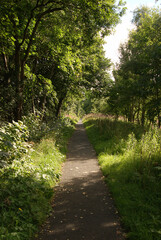 Fototapeta premium Darnick Sunday sports day during virus lockdown