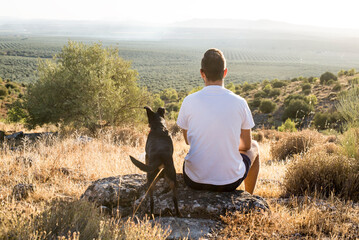Persona junto a su perro y mascota en el campo mirando al horizonte con la luz del sol.  - obrazy, fototapety, plakaty