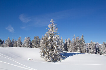 Obraz premium Winter in alps