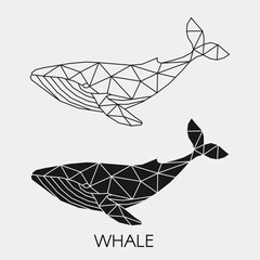 Geometric linear whale. Abstract polygonal ocean animal.  Vector illustration.	
