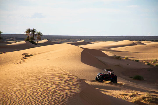 quad bike in the desert of merzouga morroco. Erg chebbi desert evening light. Sand dunes with palm trees and people riding a quad. Extreme sports in nature