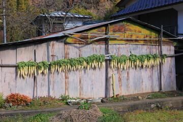 日本の田舎の文化。冬支度