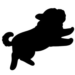 Silhouette of Pug puppy jumping and playing