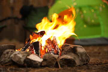 Beautiful bonfire with burning firewood near camping tent in forest