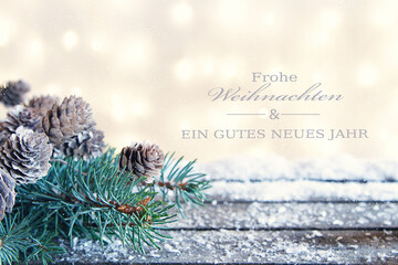 Weihnachtskarte mit Tannenzweig	
