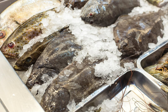 A variety of flatfish and other fishes at a local supermarket.