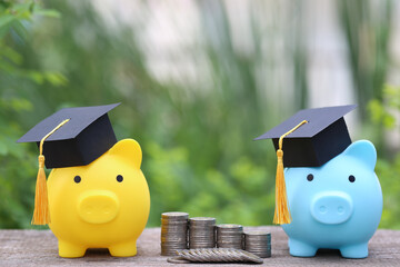 Graduation hat on yellow piggy bank and blue piggy bank with stack of coins money on nature green...