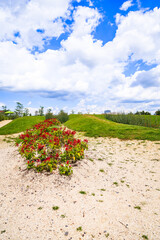 Landschaftsgestaltung im Garten gartenbau gala