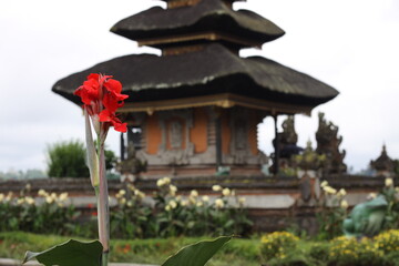 バリ島の寺院と花