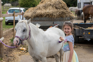 Smiling pretty young girl standing grooming the horse with a brush in an outdoor paddock