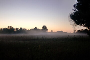 Fototapeta na wymiar Misty evening over a farmer's field in rural Ontario, Canada during the month of August.