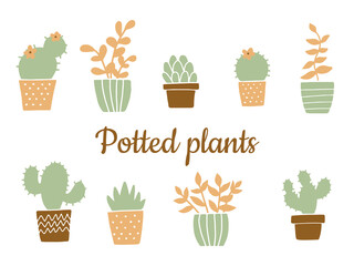 Cactuses and flowers in pots. Home plants. Simple vector illustration.
