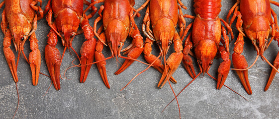 Delicious boiled crayfishes on grey table, flat lay. Banner design