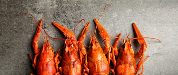 Delicious boiled crayfishes on grey table, flat lay. Banner design