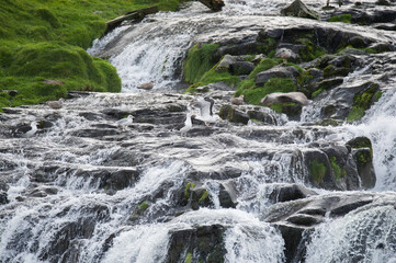 small waterfall in the mountains with birds 