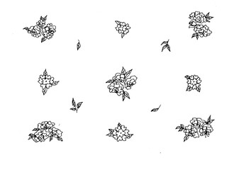 floral design elements seamless pattern black and white isolated on white background