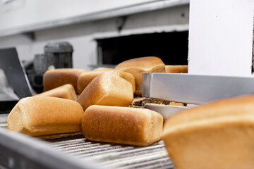 Baked breads on automatic production line bakery from hot oven