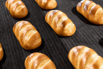 Fresh hot baked breads on automated production line bakery. Manufacture industrial