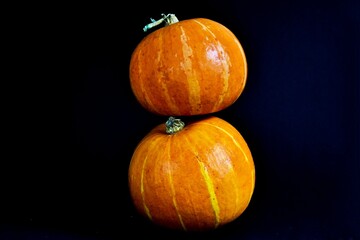 Pumpkins on a black background. Halloween mood. The concept of Halloween, holiday and harvest.