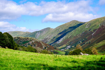 Fototapeta premium Rolling fells and valley in the Lake District with green fields in the summertime