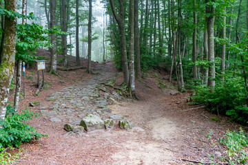 Italy Emilia Romagna, Bologna, path of gods © Massimo