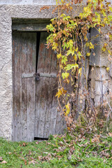Old wooden rickety door, closed with padlock. Selective focus.