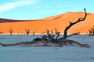 Sonnenaufgang am Deadvlei in Namibia