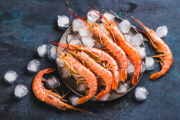 Wild red Argentine shrimps or ocean jumbo shrimps on ice dark background copy space.