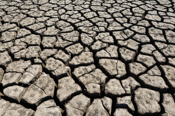 Part of a huge area of dried land suffering from drought in cracks.