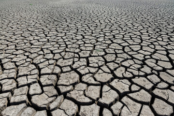 Part of a huge area of dried land suffering from drought in cracks.