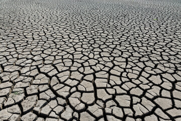 Part of a huge area of dried land suffering from drought in cracks.
