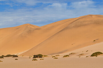 Fototapeta na wymiar Dünen in der Namibwüste in Namibia