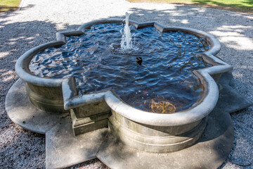 fountain in the park