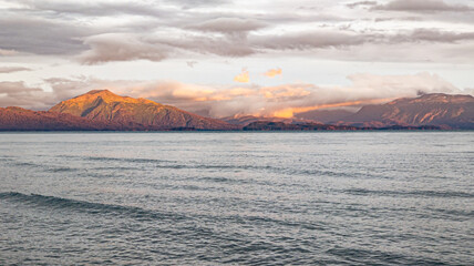 Alaska Homer Bald Eagles Otters and Seals