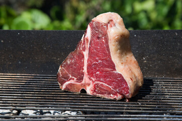 Barbeque, t-bone while cooking on the wood and charcoal grill