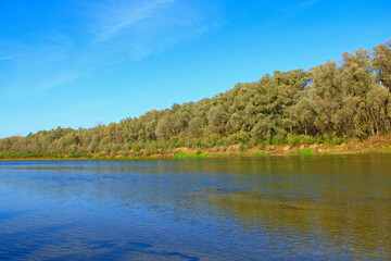 Beautiful landscape with river and row of willows