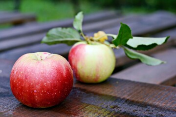 Ripe beautiful apples on a wooden background. Autumn harvest