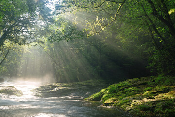 菊池渓谷の光芒