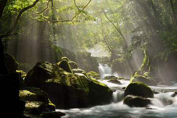 菊池渓谷の光芒 © Kinapi