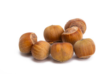 hazelnut isolated