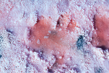 Salt, brine and mud of pink salty Sivash Lake near Azov Sea, colored by micro algae Dunaliella...