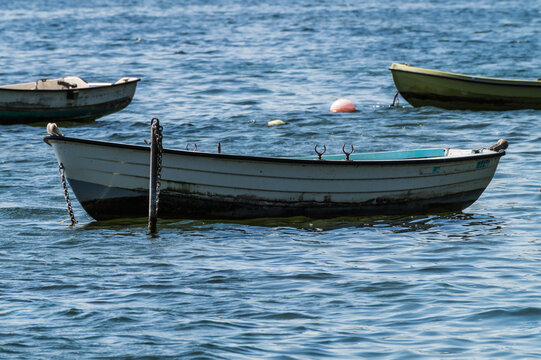 Group of old rowing boats tied on a lake in germay, schleswig holstein.