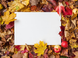 Naklejka na ściany i meble White A4 sheet of paper lying horizontally in front of an autumn composition with colorful leaves and autumnal decoration design thanksgiving festivity invitation letter sale social media marketing