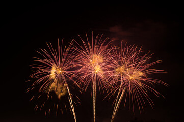 Obraz premium Abstract and brightly colorful firework with free space in the celebration and anniversary festival.Merry Christmas and New year party light over night sky.