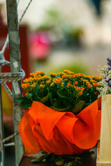 Flowers at the green market in Cremona, Italy , fall 2020