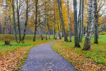 Beautiful autumn landscape. Asphalt footpath with leaves in Gauja national Park, Sigulda, Latvia