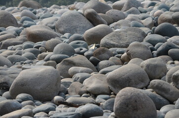 rocks by the river bed