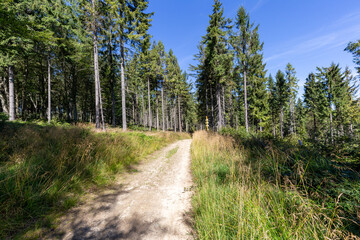 Hiking trail in Beskid Sadecki in Poland, mountains in summer landscape